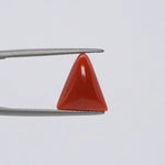 Red Coral - 3663