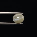 Cats Eye - 3362