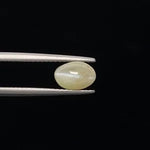 Cats Eye - 825