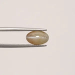 Cats Eye - 854