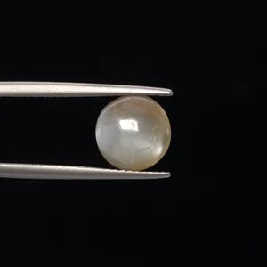 Cats Eye - 3397