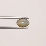 Cats Eye - 811