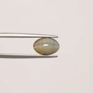 Cats Eye - 811