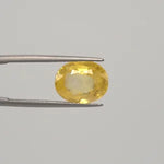 Yellow Sapphire - 2313