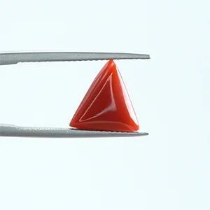 Red Coral - 1385