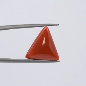 Red Coral - 3634