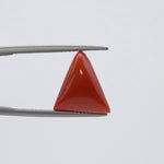 Red Coral - 3639