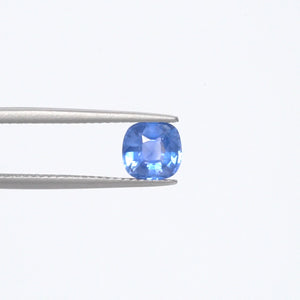 Blue Sapphire - 3730
