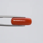 Red Coral - 294