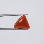 Red Coral - 3667