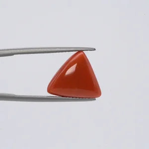 Red Coral - 3667