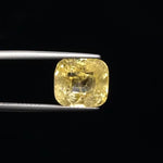 Yellow Sapphire - 2827