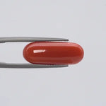 Red Coral - 1546