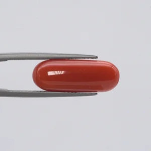 Red Coral - 1546