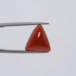 Red Coral - 3649