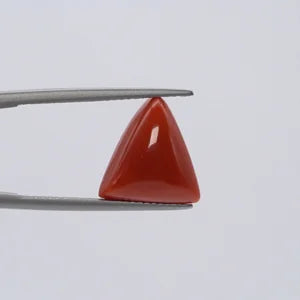 Red Coral - 3649