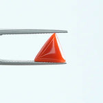 Red Coral - 1388