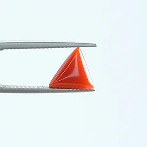 Red Coral - 1388