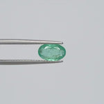 Emerald - 3795