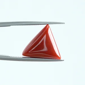 Red Coral - 1405