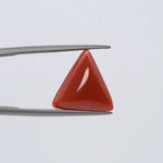 Red Coral - 3630