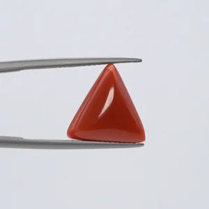 Red Coral - 3630