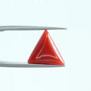 Red Coral - 1378