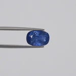 Blue Sapphire - 1595