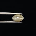 Cats Eye - 3376