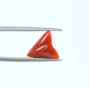 Red Coral - 1382