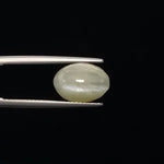 Cats Eye - 3369