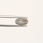 Cats Eye - 842