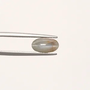 Cats Eye - 842