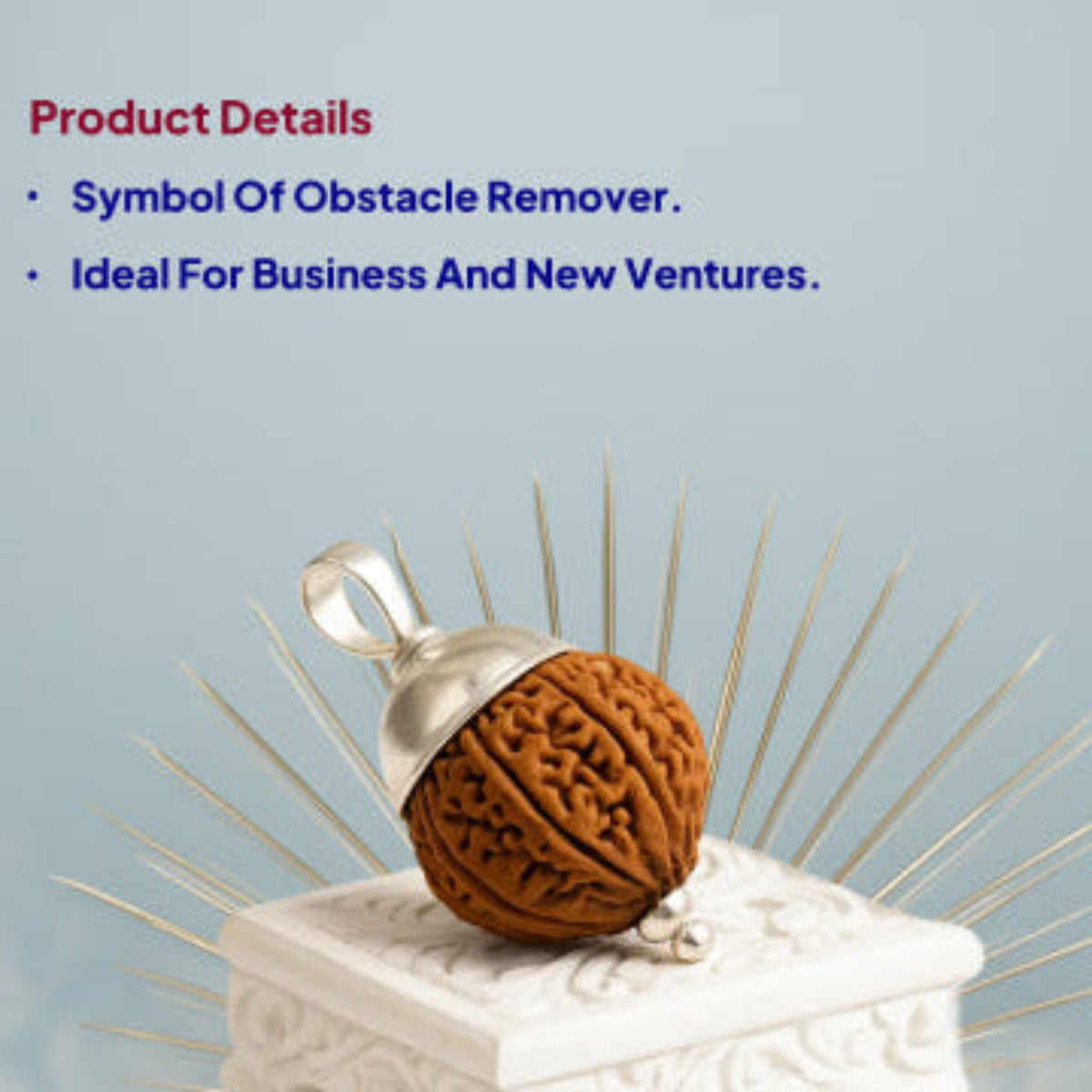 8 Mukhi Rudraksha Pendant- Nepali